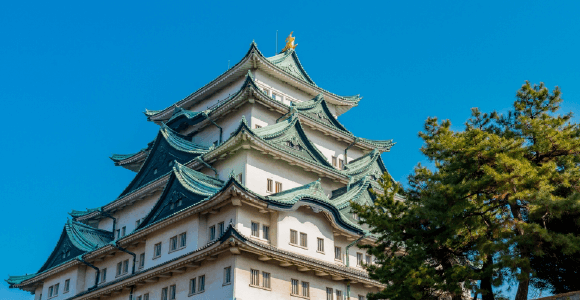 中部圏における迅速な配送: